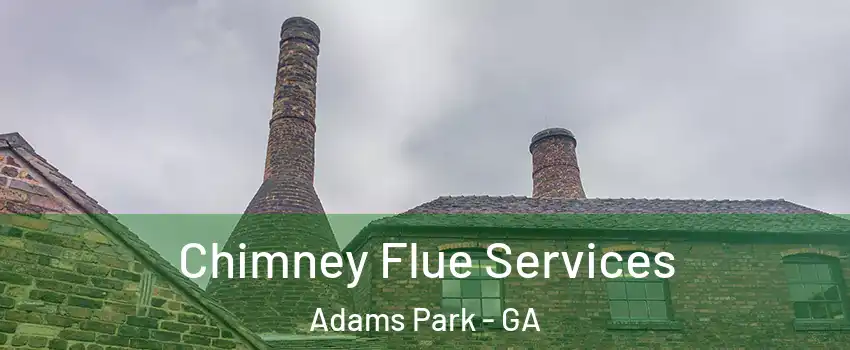 Chimney Flue Services Adams Park - GA