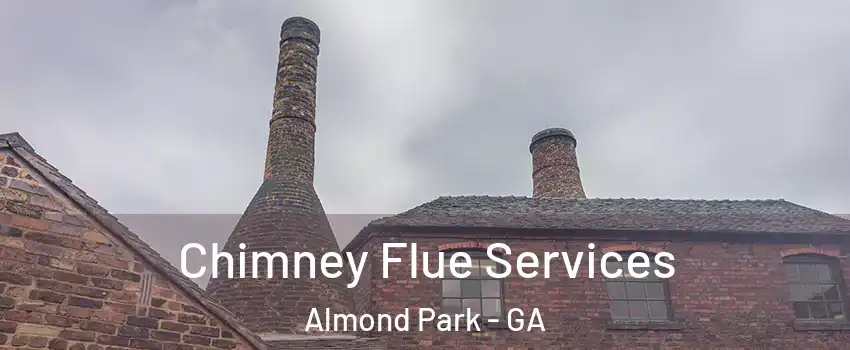 Chimney Flue Services Almond Park - GA