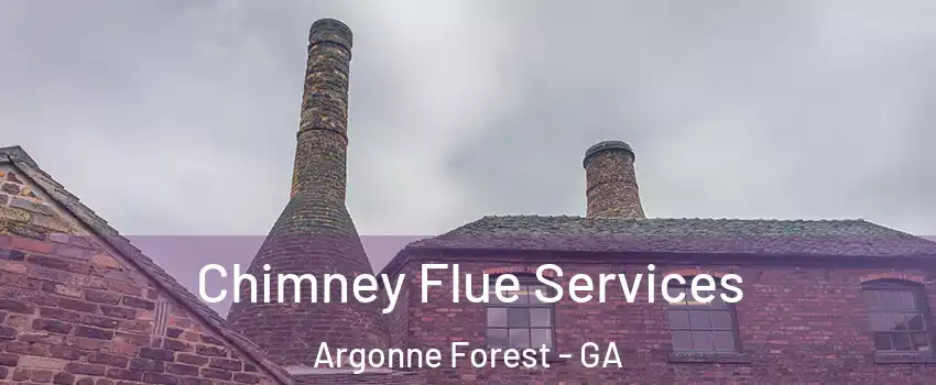 Chimney Flue Services Argonne Forest - GA