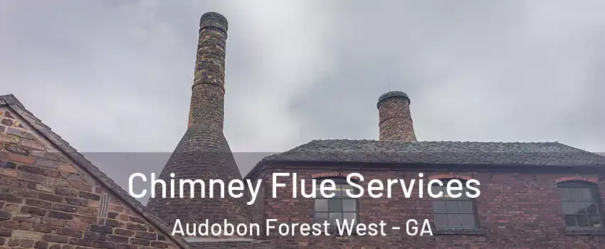 Chimney Flue Services Audobon Forest West - GA
