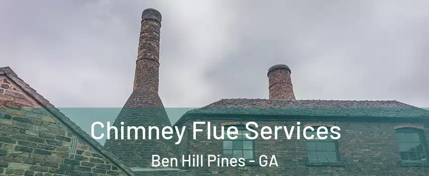 Chimney Flue Services Ben Hill Pines - GA
