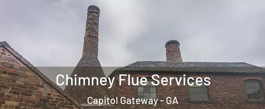 Chimney Flue Services Capitol Gateway - GA