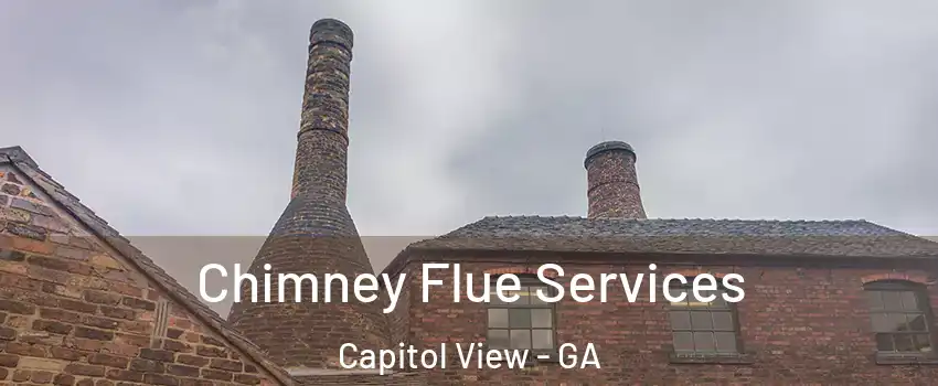 Chimney Flue Services Capitol View - GA