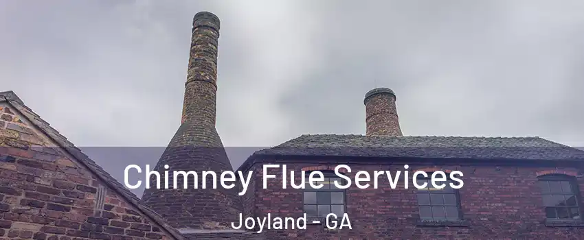 Chimney Flue Services Joyland - GA