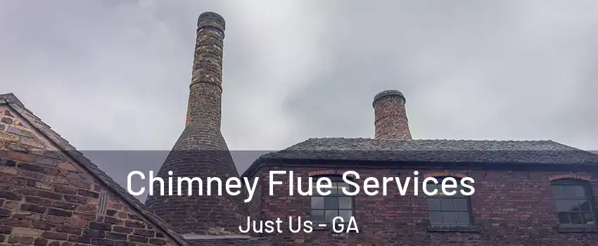 Chimney Flue Services Just Us - GA