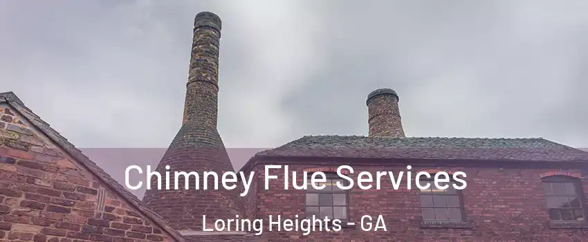 Chimney Flue Services Loring Heights - GA