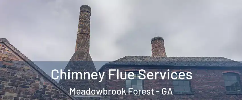 Chimney Flue Services Meadowbrook Forest - GA