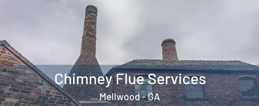 Chimney Flue Services Mellwood - GA