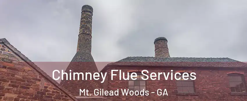Chimney Flue Services Mt. Gilead Woods - GA