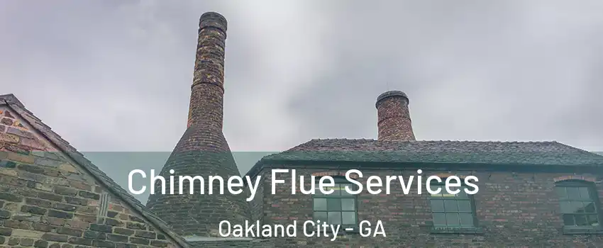 Chimney Flue Services Oakland City - GA
