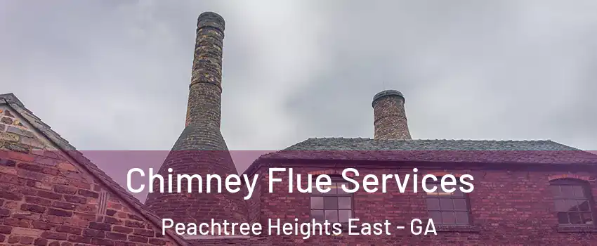 Chimney Flue Services Peachtree Heights East - GA