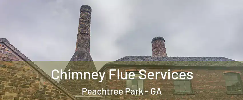 Chimney Flue Services Peachtree Park - GA