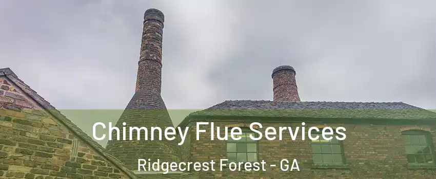Chimney Flue Services Ridgecrest Forest - GA