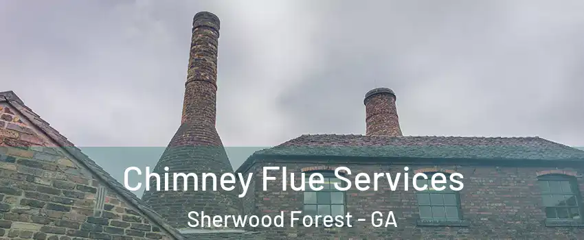 Chimney Flue Services Sherwood Forest - GA