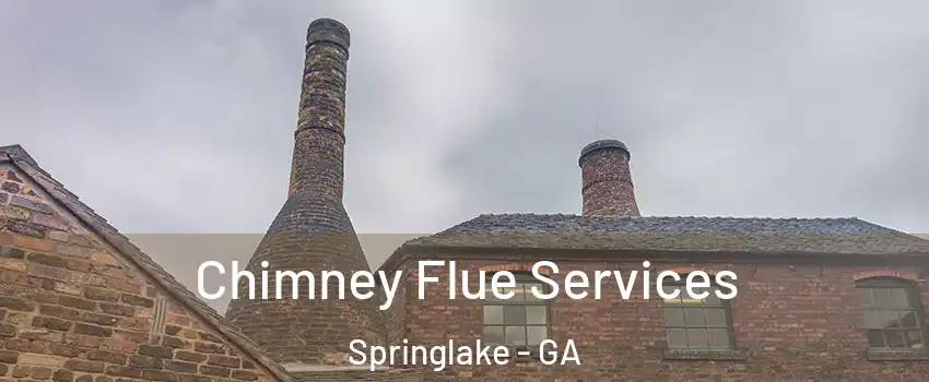 Chimney Flue Services Springlake - GA