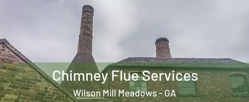 Chimney Flue Services Wilson Mill Meadows - GA