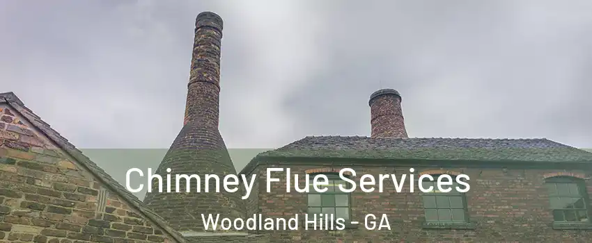 Chimney Flue Services Woodland Hills - GA