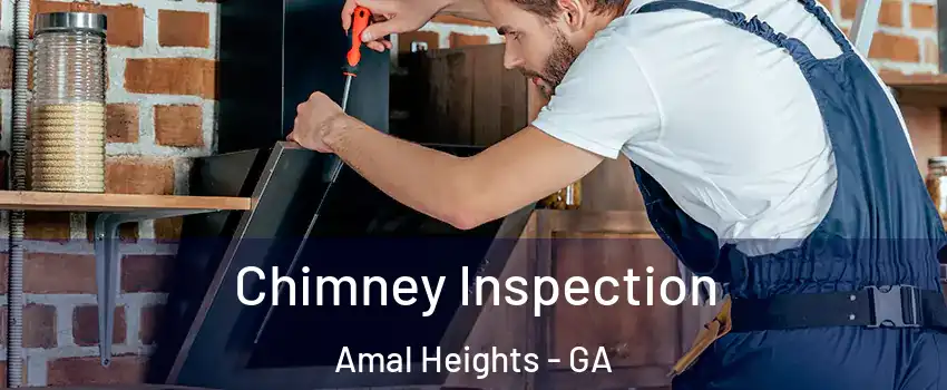 Chimney Inspection Amal Heights - GA