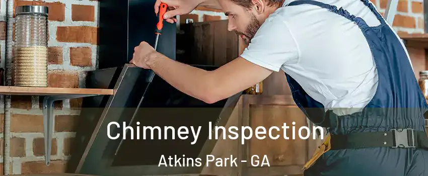 Chimney Inspection Atkins Park - GA