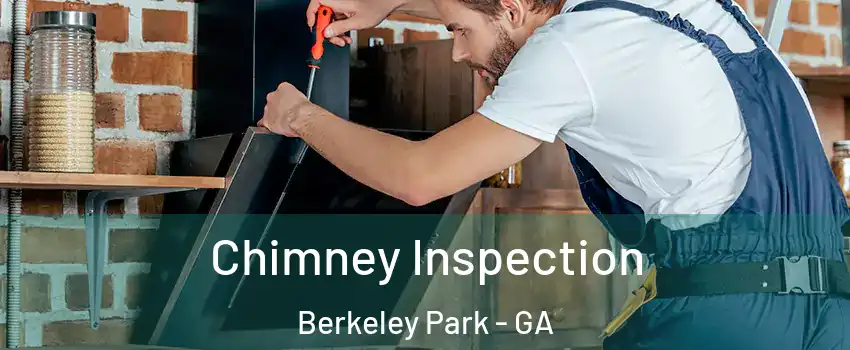 Chimney Inspection Berkeley Park - GA