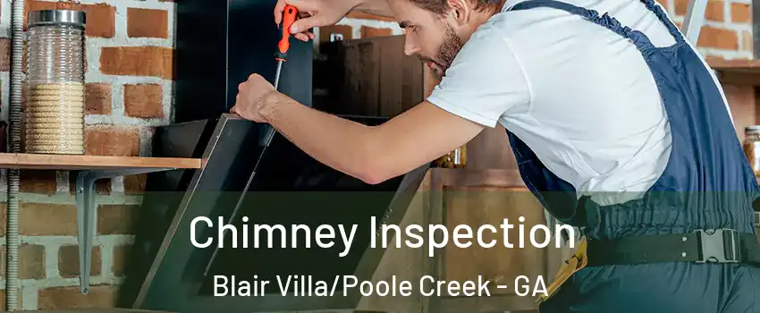 Chimney Inspection Blair Villa/Poole Creek - GA