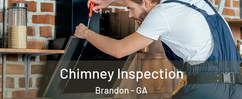 Chimney Inspection Brandon - GA