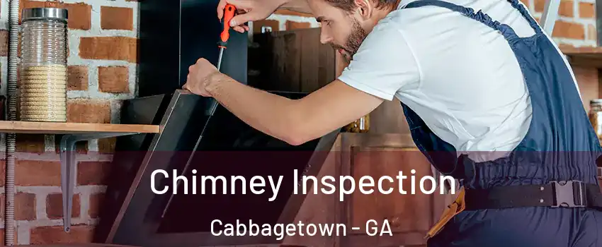 Chimney Inspection Cabbagetown - GA