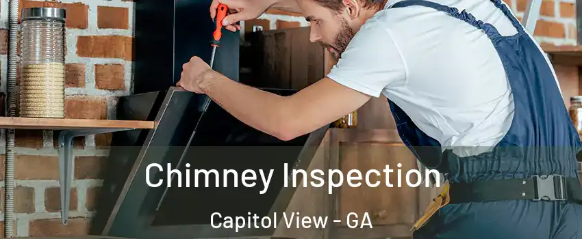 Chimney Inspection Capitol View - GA