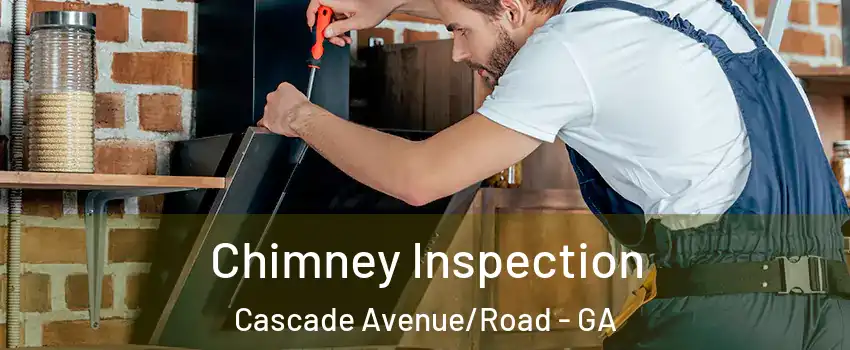 Chimney Inspection Cascade Avenue/Road - GA