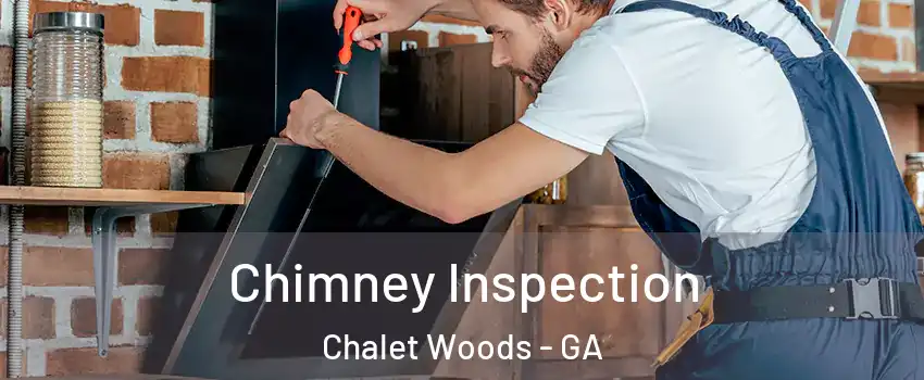 Chimney Inspection Chalet Woods - GA