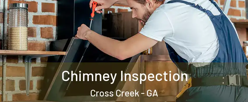 Chimney Inspection Cross Creek - GA
