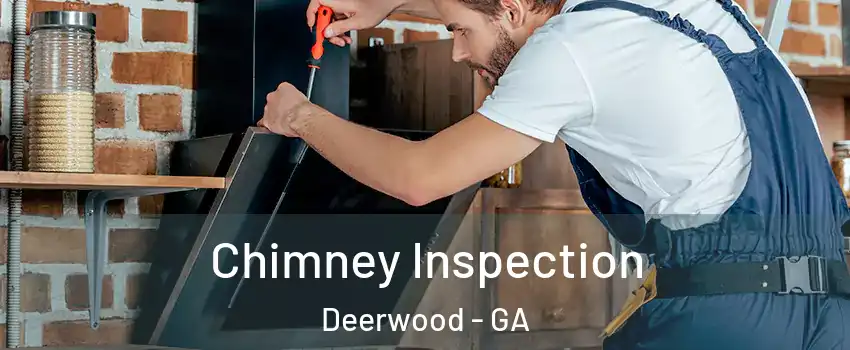 Chimney Inspection Deerwood - GA