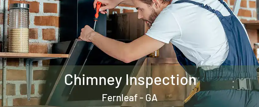 Chimney Inspection Fernleaf - GA
