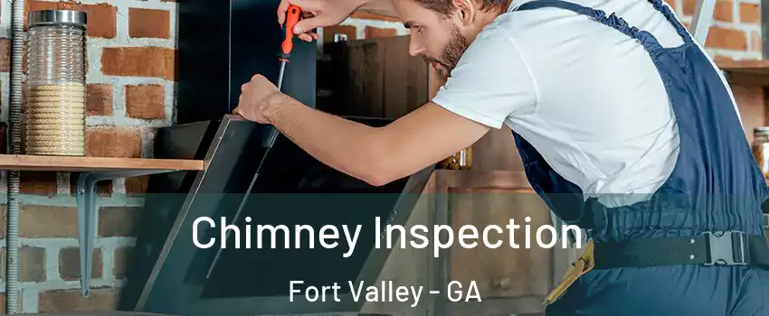 Chimney Inspection Fort Valley - GA