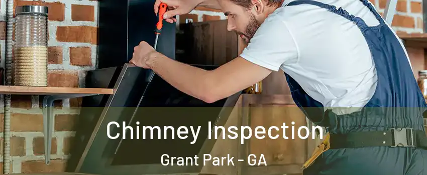 Chimney Inspection Grant Park - GA