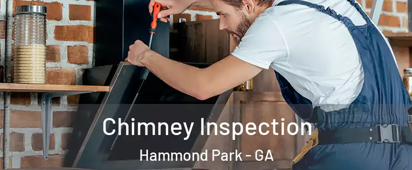 Chimney Inspection Hammond Park - GA
