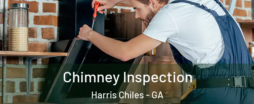Chimney Inspection Harris Chiles - GA