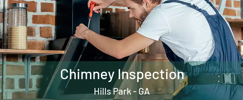 Chimney Inspection Hills Park - GA