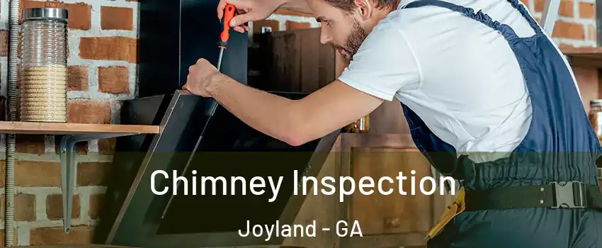 Chimney Inspection Joyland - GA