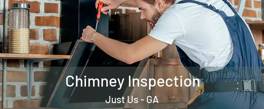 Chimney Inspection Just Us - GA