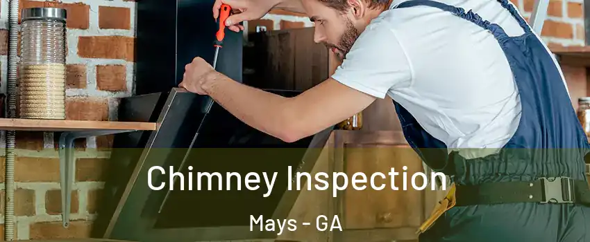 Chimney Inspection Mays - GA