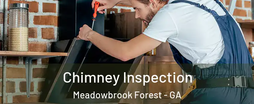 Chimney Inspection Meadowbrook Forest - GA