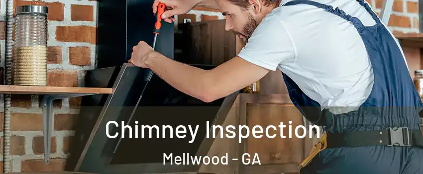 Chimney Inspection Mellwood - GA