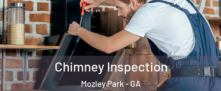 Chimney Inspection Mozley Park - GA