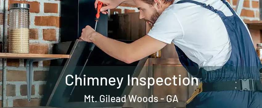 Chimney Inspection Mt. Gilead Woods - GA