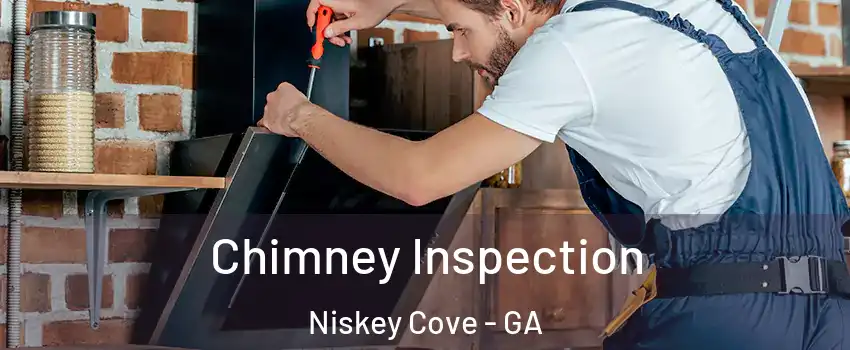 Chimney Inspection Niskey Cove - GA