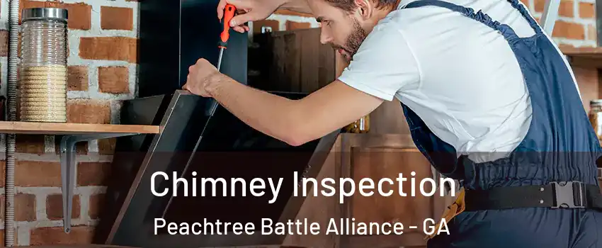 Chimney Inspection Peachtree Battle Alliance - GA
