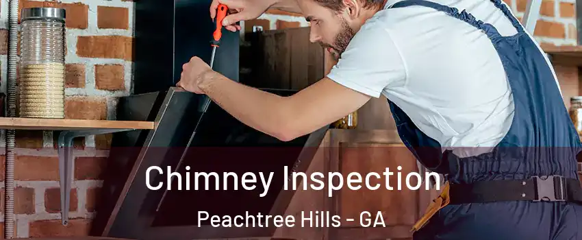 Chimney Inspection Peachtree Hills - GA
