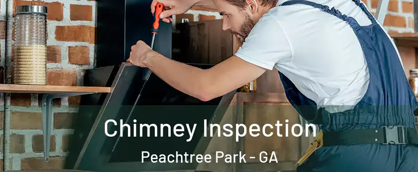 Chimney Inspection Peachtree Park - GA
