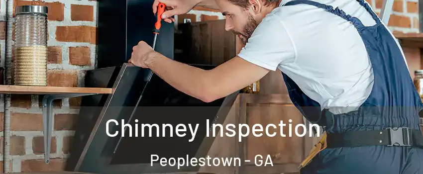Chimney Inspection Peoplestown - GA